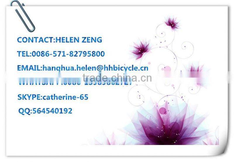 HH-K2093 20inch children bike kids bike for russia market with flag