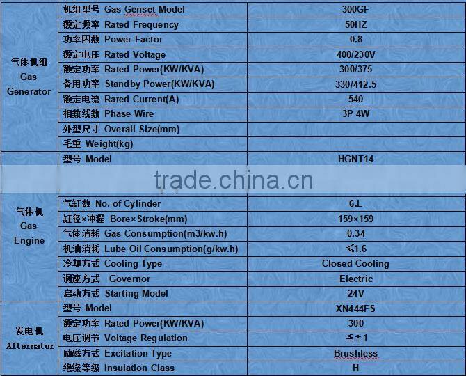 300kw natural gas Genset with Synchronization System hot sale in Supermaly