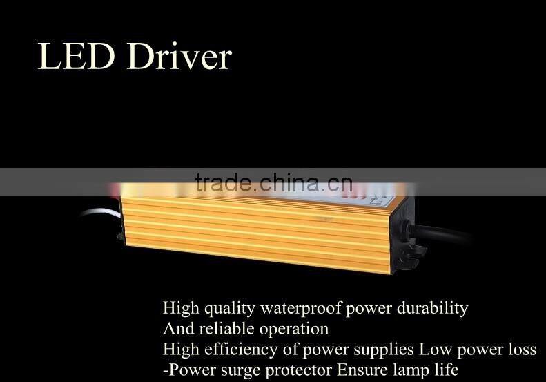 Black DC12V led floodlight 10W with CHILI45mil Chips, CE spotlight