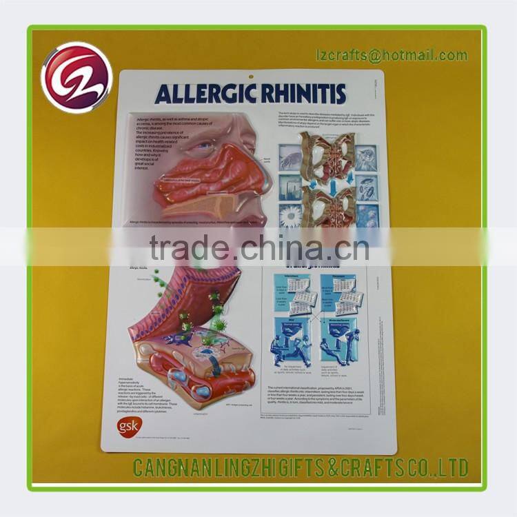 China wholesale pvc medical chart