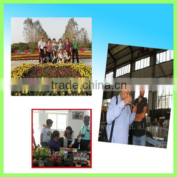 Industrail roller washing machine/peeling machine for vegetables