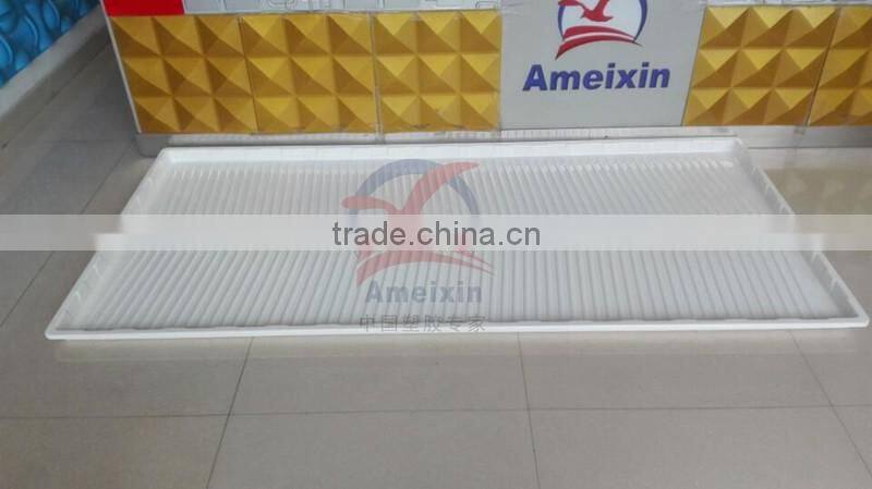 Thermoforming Plastic Trays