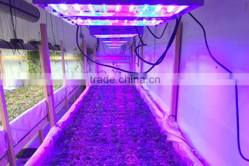 Lumini best four channels best greenhouse led growing lights forplants