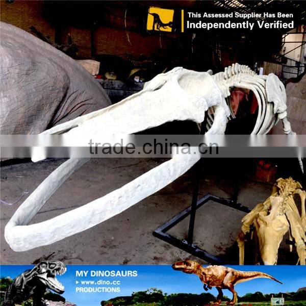 MY Dino-C058 Water park whale skeleton for sale