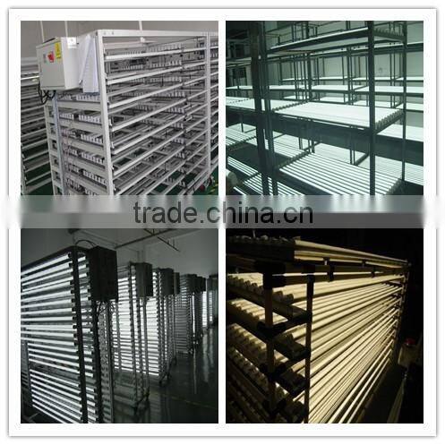 Chinese wholesale hot sell China bent CE ROHS PSE C-TICK certificate listed U shape led U tube light