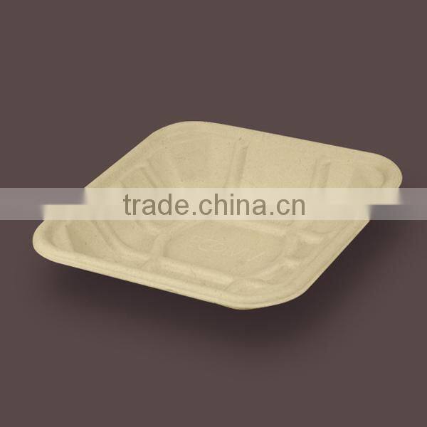 2015 High quality D649 lovely colorful supplies tray food container with Apple Plates set