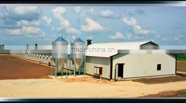low customized sandwich panel steel chicken farm hangar