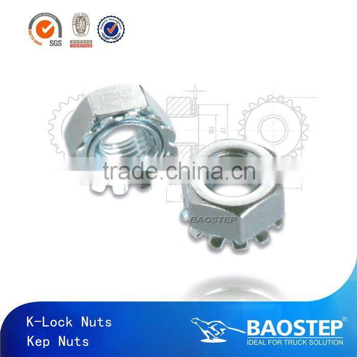 BAOSTEP Specialized Auto Parts Manufacturer Rail Nut