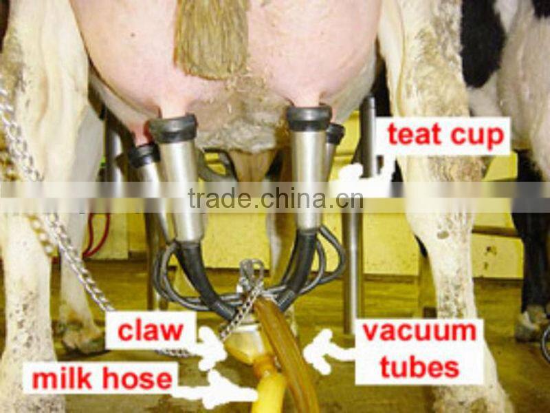 milking machine working with vacuum pump