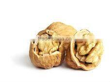 Walnuts