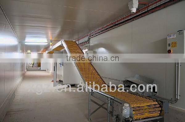 High quality Poultry Broiler and layer house
