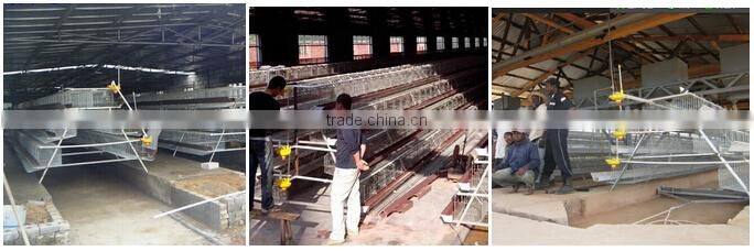 100% Response Rate Cheap Industrial Chicken Coop