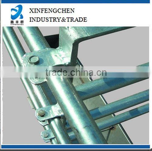pig farming equipment--gestation stall