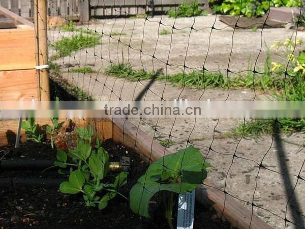 plant support net