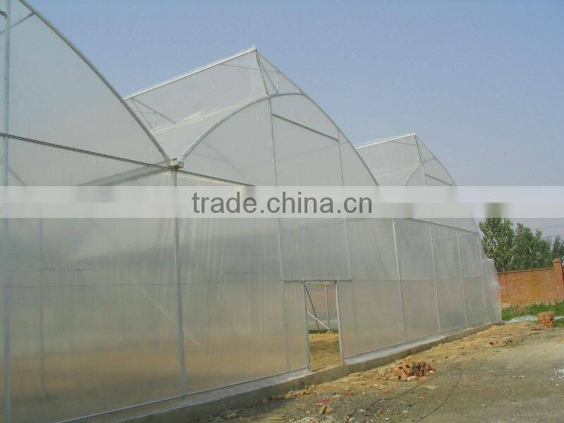 Strawberry plastic film greenhouse
