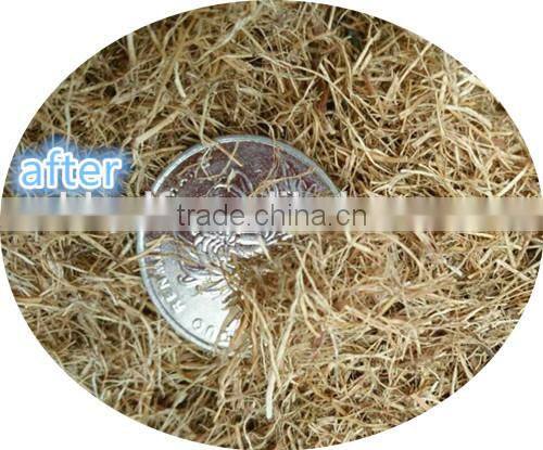 palm fibre miller in efb pellet plant