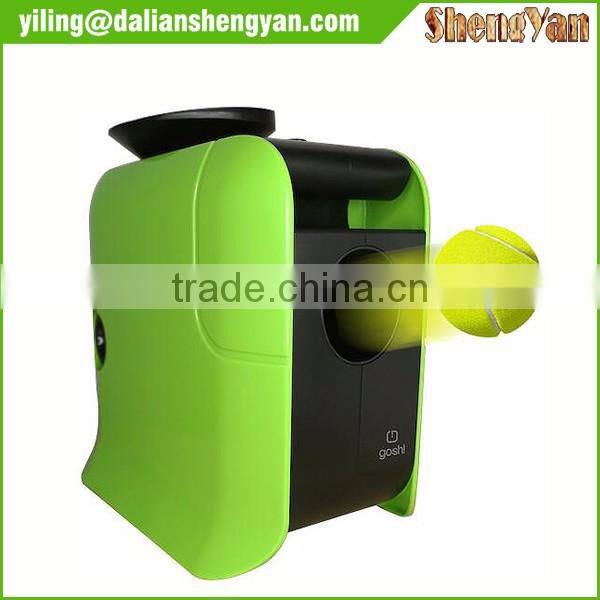 Wood painting indoor and outdoor dog house