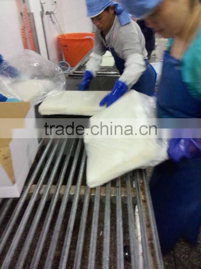 Frozen Giant Squid Fillet Wholesale