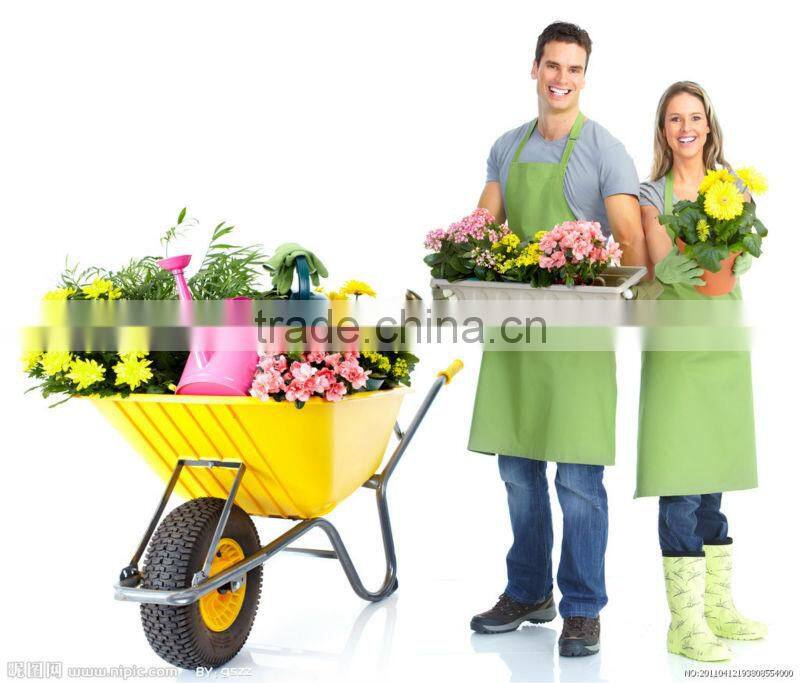 WB5006 decorative wheelbarrow planter