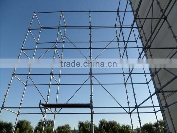 Best price ringlock scaffolding system made in China