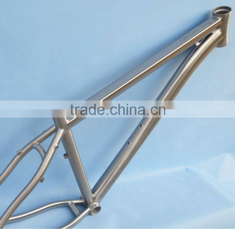 China cheap titanium bike frame