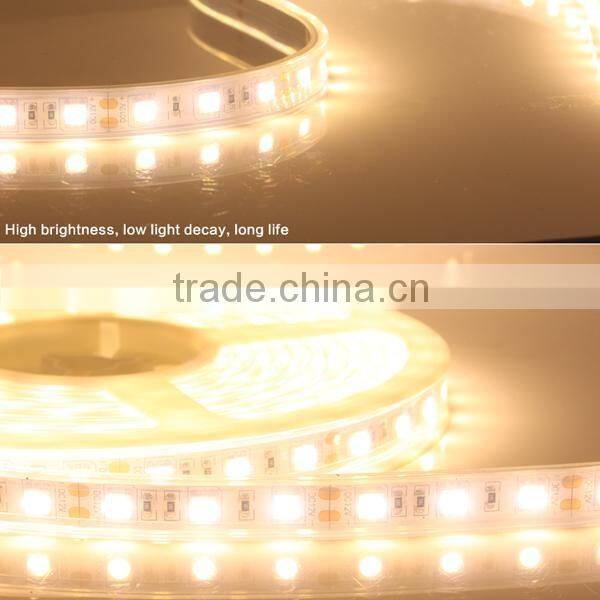 Festival Color Led Digital Strip Light SMD5050 With CE