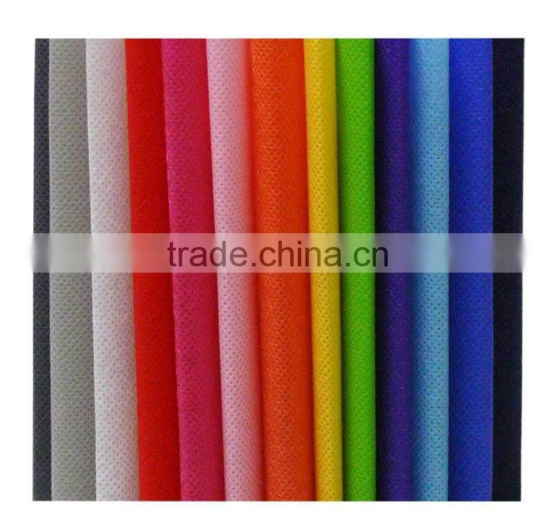 PP non woven gift Bags