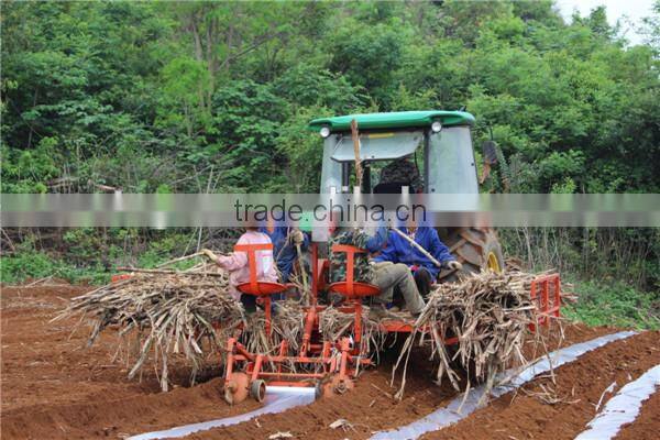 Large sugarcane plantation adopt mini sugarcane machine of sugarcane planter for planting