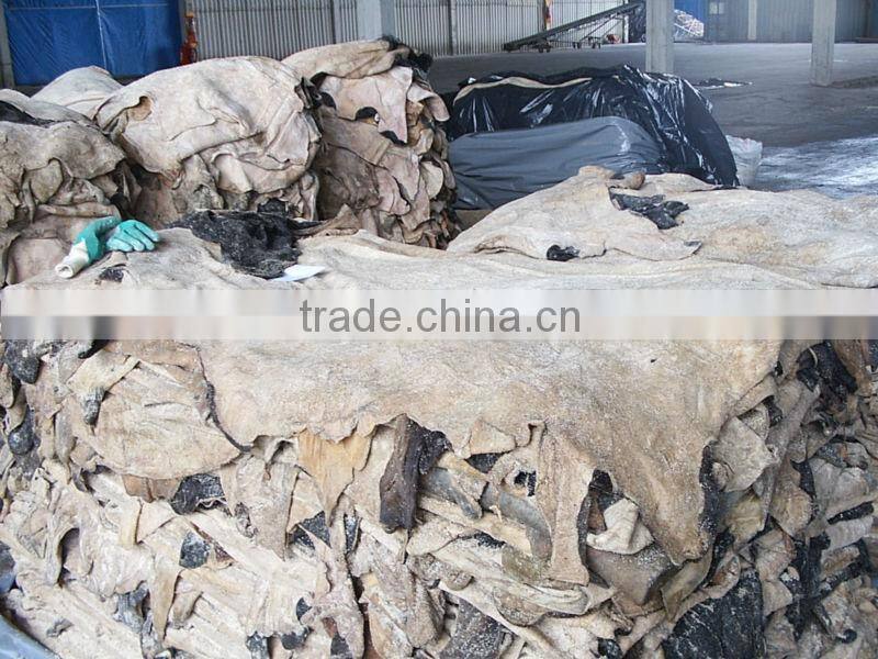 WET SALTED COW HIDE