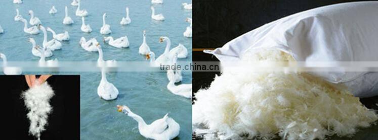 Made in China Hot Selling Wholesale Hotel Duck Down Goose Feather Pillow Inner