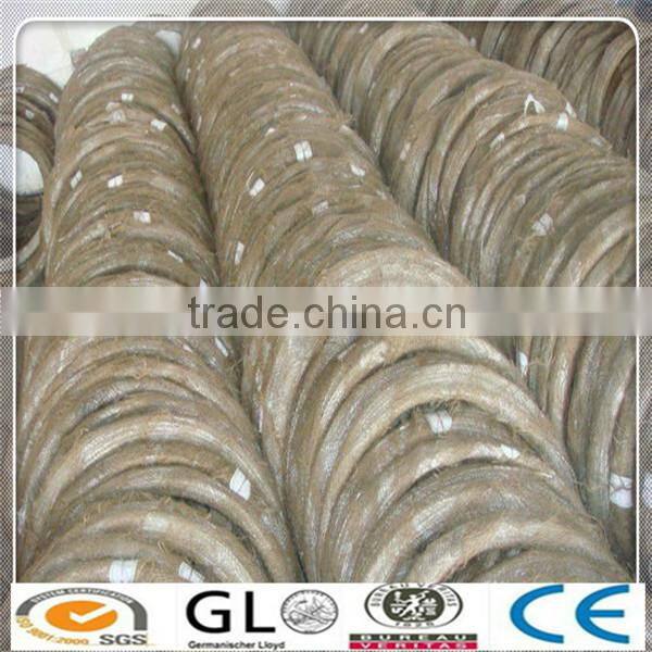 Electro Galvanized Iron Wire/Galvanized Iron Wire for Binding Use