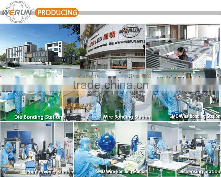 Factory direct sale 6w g125 LED carbon filament bulb