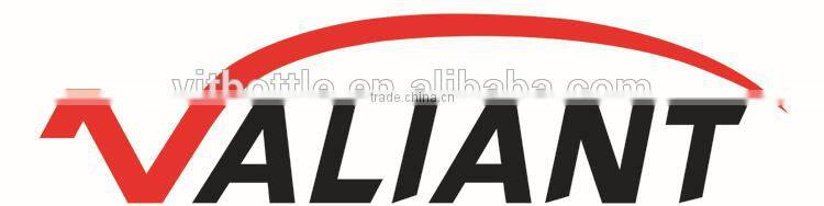 Colorful electroplated glass bottle golden glass wine bottle white glass 750ml liquor bottle