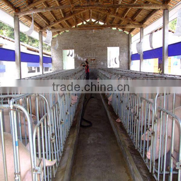 poultry equipment pig farm design