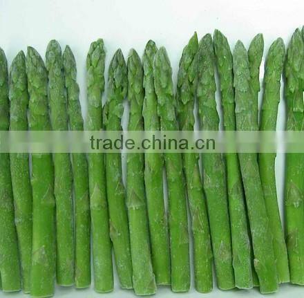IQF Fresh Green Asparagus from China