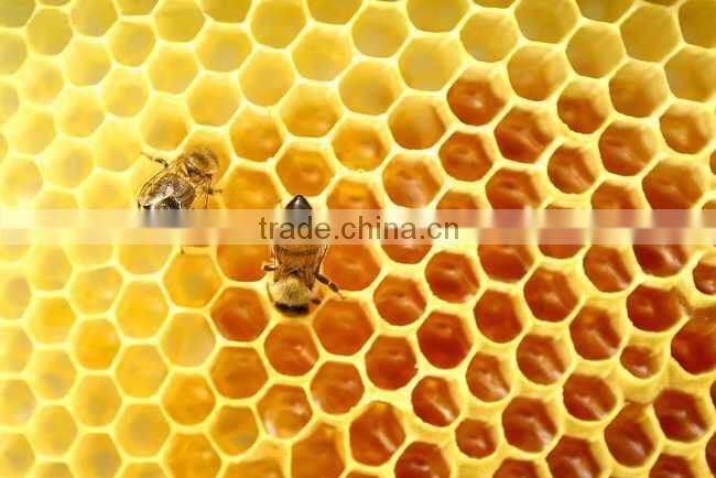 Top Sell GMP Certificated Nature Bee Propolis soft capsule