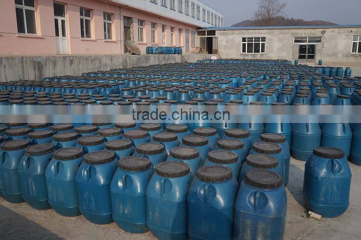 Marinated Suillus Luteus Mushroom