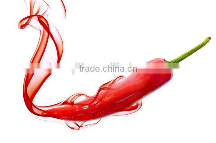 Chili Hot Pepper Seeds Remover For Food Processing Industry