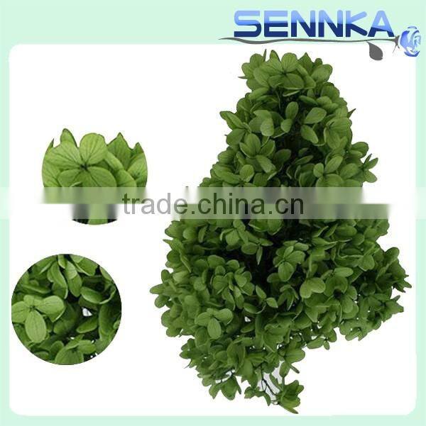 real natural purple color hydrangea preserved for flower arrangement