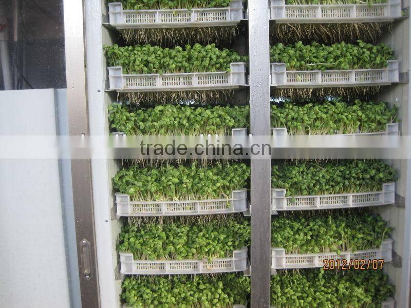 garlic sprout/bean sprout making machine