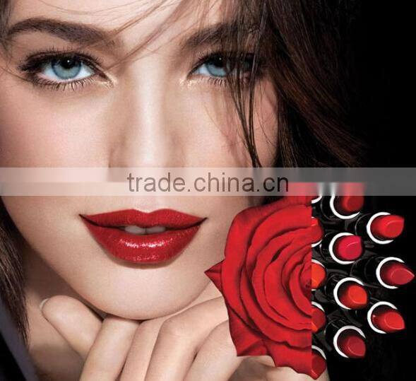 2016 Long Lasting Waterproof Makeup Private Label Cosmetics Make Your Own Matte Lipstick