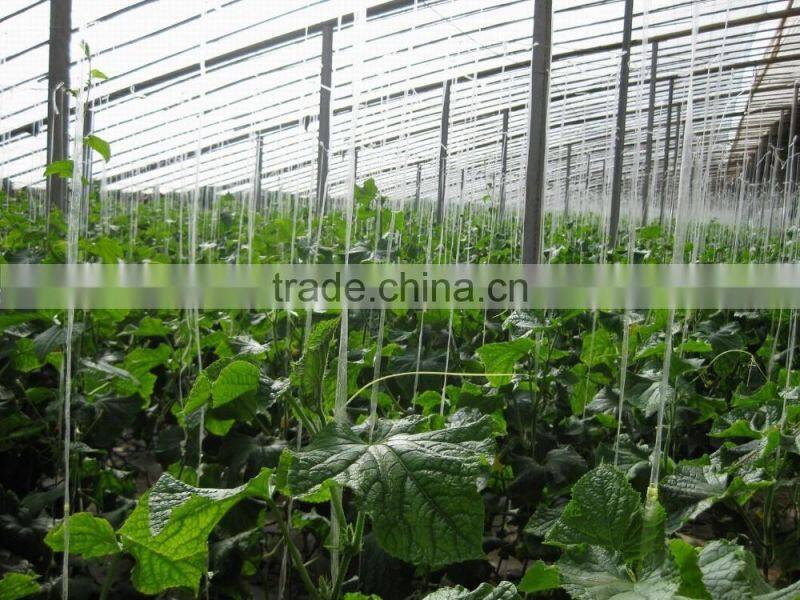 colorful pp baler twine,string,pp twine,string for packing vegetables