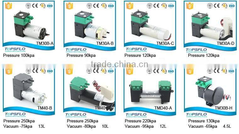 High Performance 6V 12V 24V Gas Pump