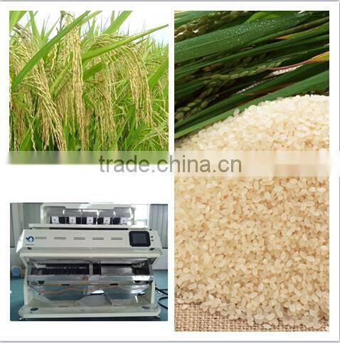 Hi-tech Rice Ccd Color Sorter machine in china Mingder