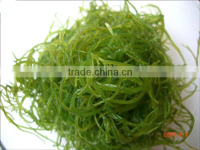 Carrot Multiple layer continuous type mesh belt dryer