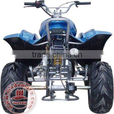 New 110cc ATV with 30 Degrees Climbing Capacity WZAT1103EEC