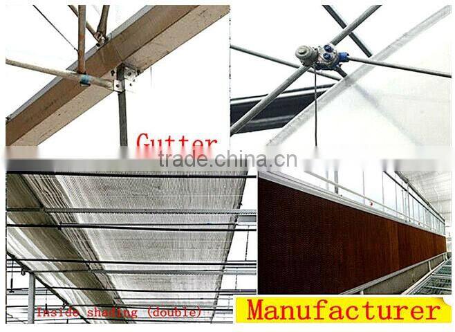 Clear greenhouse Multi span greenhouse