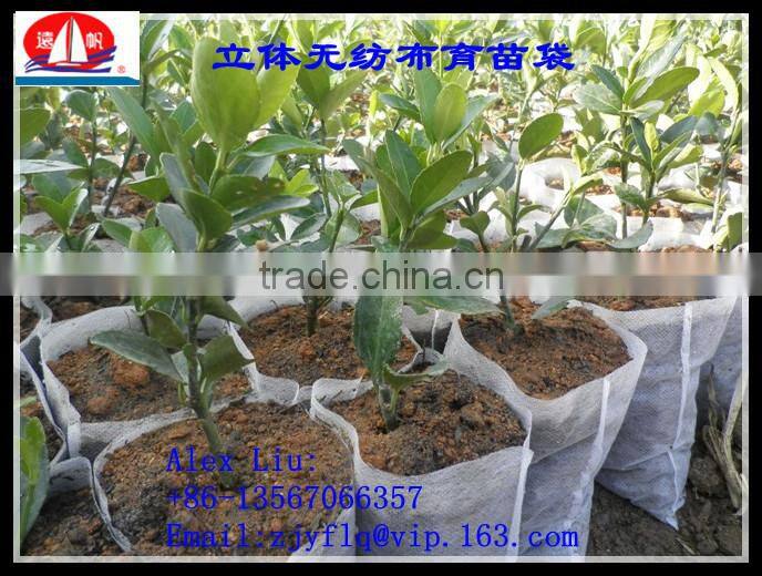 100% PP spunbond non-woven fabric used for non woven Seedling bag
