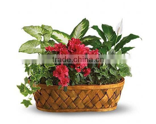 Woven Flower Basket wholesale