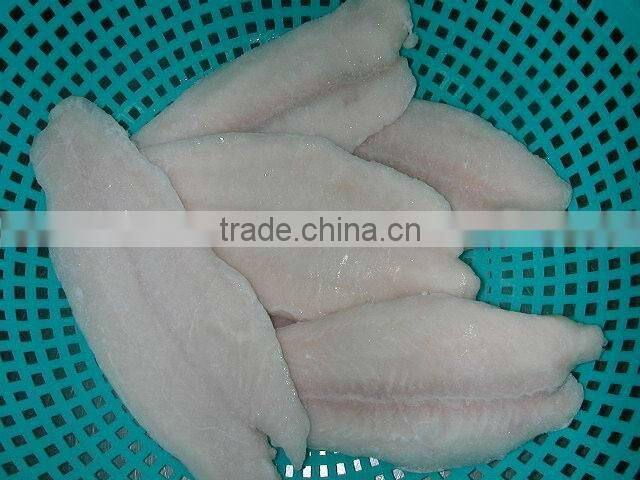 FRESH Frozen Pangasius Fillet FISH